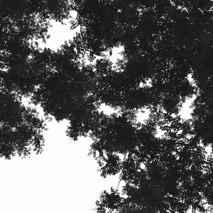 精品麻豆成人AV网
